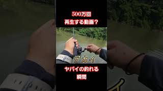 500万回再生される動画！感動の瞬間映像！#500万回再生 #viral #amazing #love