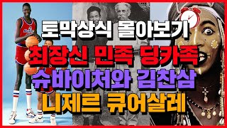 (토막상식) 딩카족, 슈바이처 김찬삼, 니제르 큐어살레