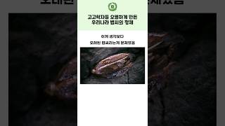 고고학자들 오열하게 만든 우리나라 볍씨의 정체.sna