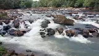 ಹರಿಯುವ ನದಿಯೊಳು ಜುಳು ಜುಳು ನಾದ