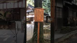 【久延彦神社　大神神社末社】2023年11月27日#japan#japantravel#shrine #nara＃奈良観光＃奈良県＃神社＃神社巡り＃大神神社＃三輪山＃遠隔参拝＃リモート参拝＃神社ガイド