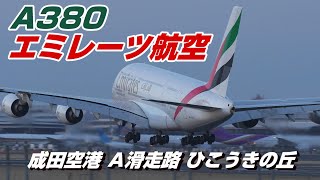 【4K】成田空港 ひこうきの丘 エミレーツ航空 エアーバスA380 着陸