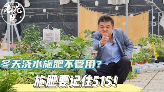 冬天浇水施肥不管用？施肥要记住515！养花巧妙小知识！