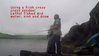 Beara Peninsula 2020. unseen clips pt 2. pollock and coalfish