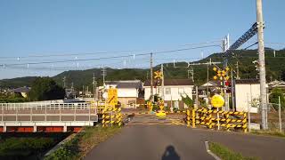 今日の踏切カンカン🚃　今日は☀　10/11　金色の221系❗JR奈良線　複線化工事　Railroad crossing sound in japan