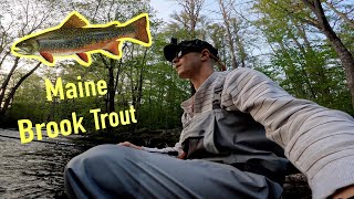 Native Brook Trout Fishing in Southern Maine