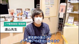 【ノアで働く獣医師にインタビュー⑤】新入社員のときに感じたことを聞いてみました！【遠山先生】