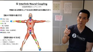 本日は上下左右逆の関節を逆に動かして可動域や痛みを改善する話です🧠