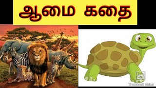 ஆபத்தான ஆமை கதை | சிறுகதை தாத்தா | தமிழ் கதை FOR KIDS