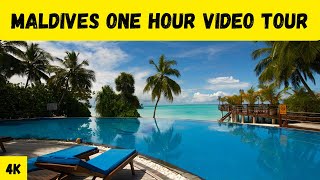 Maldives one hour video tour🏖️🏝️