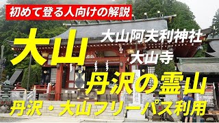 関東低山 大山 日本三百名山 丹沢の霊山 ケーブル下から日帰り登山 2022年8月7日 初めて登る人向け解説 丹沢・大山フリーパス 大山阿夫利神社 大山寺