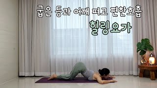 등과 어깨 요가 / 힐링요가 /스트레칭 테라피 [따라하는요가] Nirodhah Jin