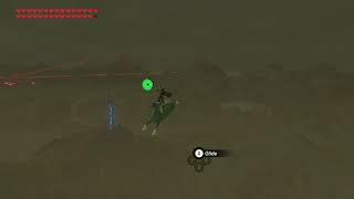 Link Overdoses on Dubious Food