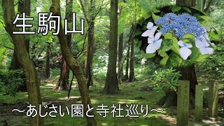 生駒山 あじさい園と寺社巡り 2024/06/29