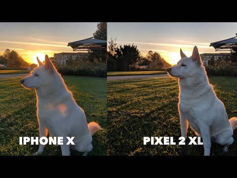 iPhone X vs Pixel 2 XL Camera Comparison iPhone X vs Pixel 2 XL Camera Comparison