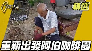 嘉義豆讚咖啡 重新出發阿伯咖啡園【一步一腳印精選】