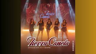 Tierra Canela mix