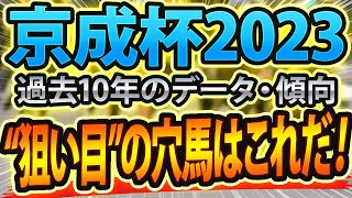 【京成杯2023】参考レースと過去データからシュミレーションした競馬予想🐴 ～出走予定馬と予想オッズ～ サインは追い切りとファンファーレや粗品ライブ【JRA】