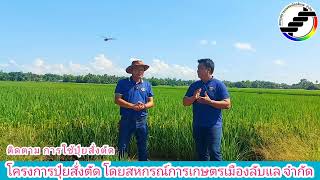 #ปุ๋ยสั่งตัด #สหกรณ์การเกษตรเมืองลับแลจำกัด