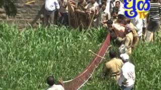 Leopard strays in Dhule Jail...