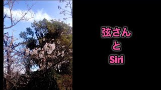 弦さんとSiri