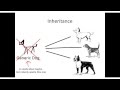 Visual Basic Inheritance Part 2 - Abstract Classes and Accessibility (2014)