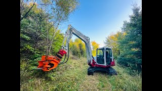 TAKEUCHI TB290-2 \u0026 WOODCRACKER CL260