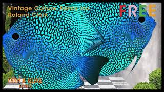 Vintage Culture, Fancy Inc, Roland Clark - Free (Original Mix) [visualizer]