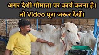 एक पूरी industry है भारतीय नस्ल की गोमाता।👍 How indigenous cow dairy farming gives profit!