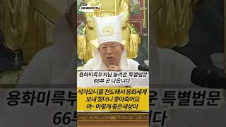 최초공개:용화세계간 석가모니불(용화미륵부처님)