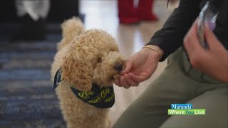 Supporting paws and people: Fifth Third Bank and Beer City Dog Biscuits make a difference