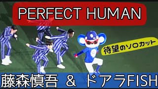 【ソロカットver. 】藤森慎吾 \u0026 ドアラFISH ～ PERFECT HUMAN