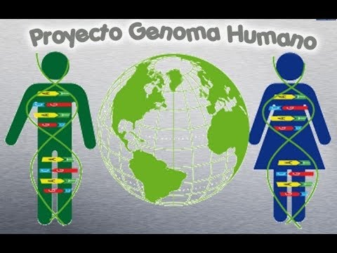 Proyecto Genoma Humano. ¿Que Beneficios Nos Trae? - YouTube