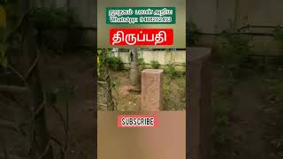 திருப்பதி முதல் குளம் நந்தவனம் உருவாக்கியது யார்? இராமானுஜர் சீடர்|அனந்தாழ்வான் திருப்பதி போன வரலாறு