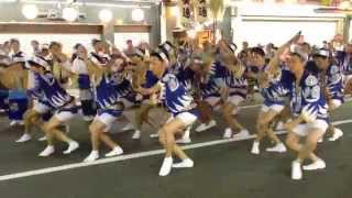 阿波踊り 葵連 2014/8/14 Awa Dance Odori 両国おどり広場