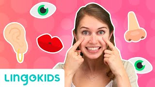 Learn Face Parts in English! for Kids | Lingokids