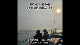 2024년 12월 26일 송정 대복호 조황