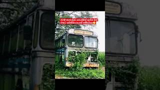 හොල්මන් බස් එකක් හම්බ වෙලා😲😊#viralshort #youtubeshorts #travel #bus #shortvideo #1m #holman #man #sl