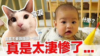 【小貓奴養成記EP12】寶寶別跟貓睡！後果太淒慘了...