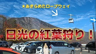 【日光】梅田から夜行バスに乗って東京から日光へ。「紅葉狩り」って、良い言葉ですねー。