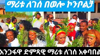 የአንጋፋዋ ድምጻዊ ማሪቱ ለገሰ አቀባበል በኮንቦልቻ