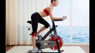 Sunny Health & Fitness Indoor Cycle Trainer - 49 lb. Flywheel
