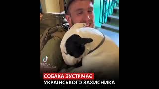 Дружба... вона таки є🥰 #ukraine #зсу #video #war #україна #army #love #top #tiktok #війна #друг #dog