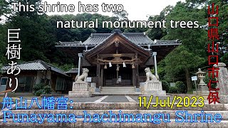 【舟山八幡宮】山口市仁保下郷　2023年07月11日