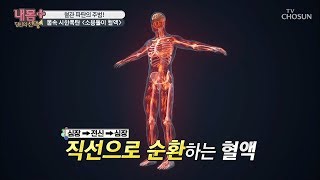 혈액이 전신 순환하는 데 걸리는 시간은? [내 몸 플러스] 173회 20191201