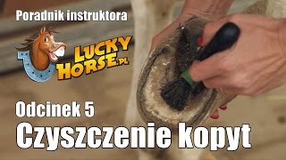 Porady LuckyHorse.pl - Odc5 - czyszczenie kopyt