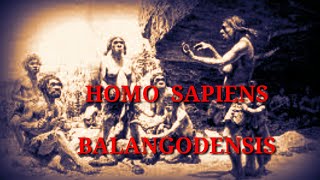 HOMO  SAPIENS  BALANGODENSIS  බලන්ගොඩ  මානව පුරාණය