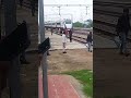 वंदे भारत ट्रेन kanspur gugauli station fatehpur shorts railway viral