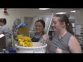 Peach peeling begins for the Gilbert Peach Festival