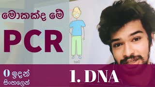 Corona test එක හරියටම දැනගන්න | PCR ( Polymerase Chain Reaction) in Sinhala | Corona - Covid 19 test